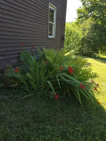 266 Robillard Road Stamford VT 05352