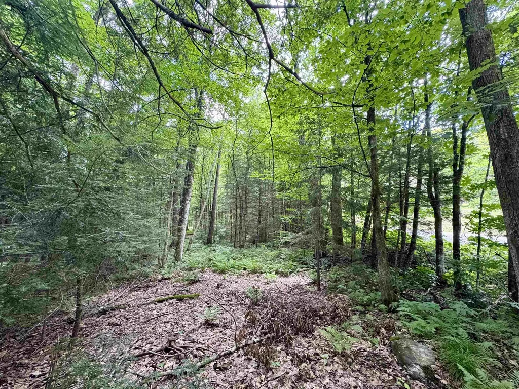 0 Tyler Farm Road Newbury VT 05051