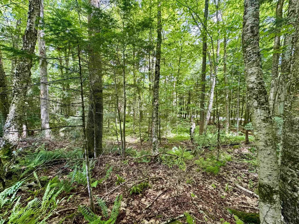 0 Tyler Farm Road Newbury VT 05051