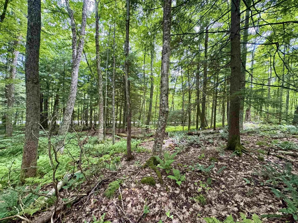 0 Tyler Farm Road Newbury VT 05051