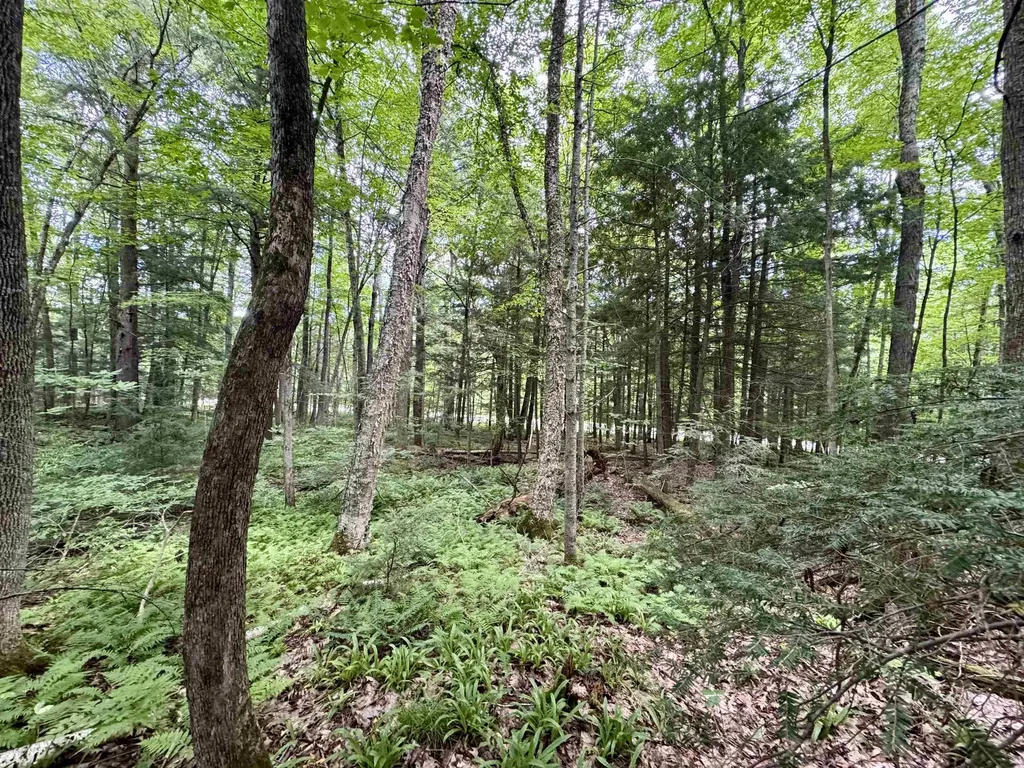 0 Tyler Farm Road Newbury VT 05051