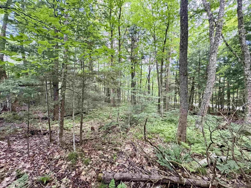 0 Tyler Farm Road Newbury VT 05051