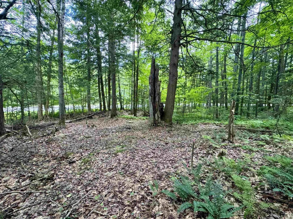 0 Tyler Farm Road Newbury VT 05051