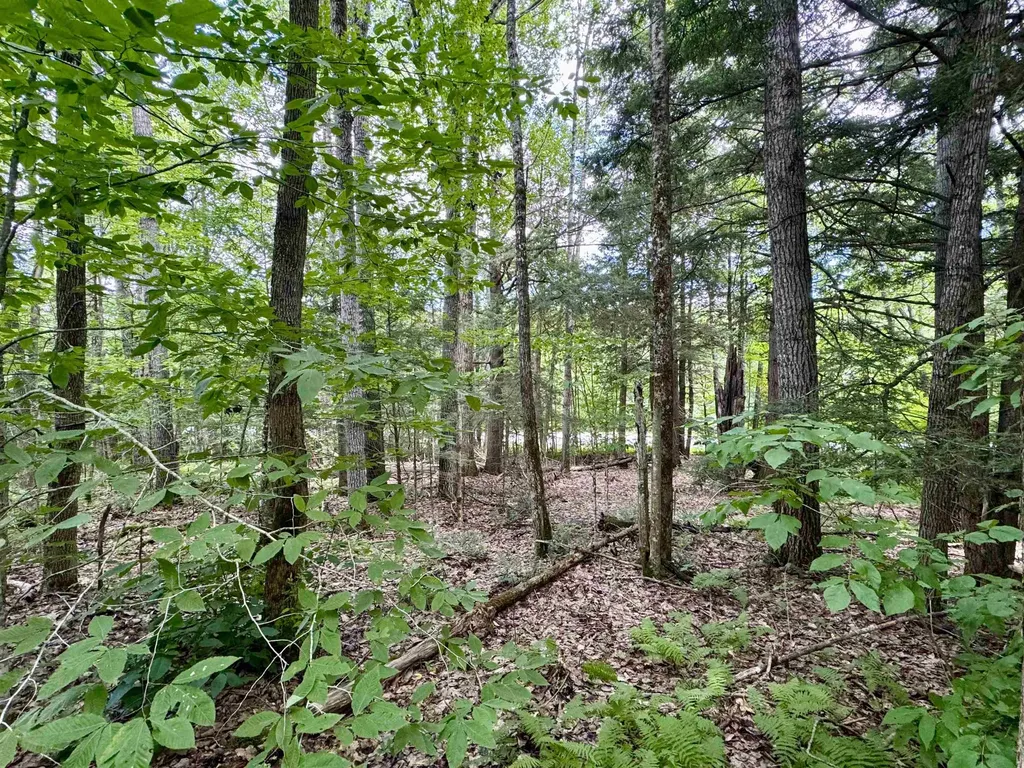 0 Tyler Farm Road Newbury VT 05051