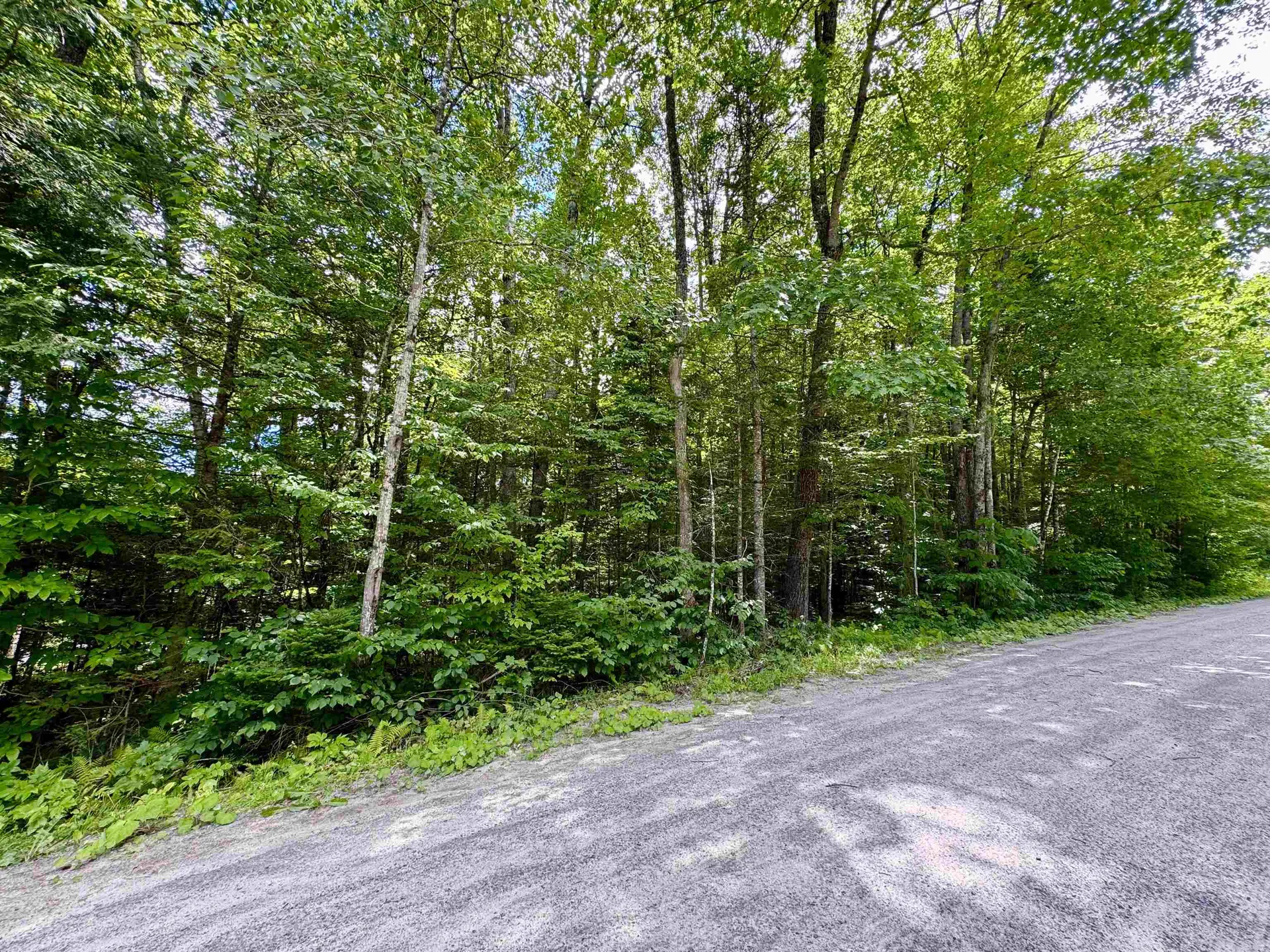 0 Tyler Farm Road Newbury VT 05051