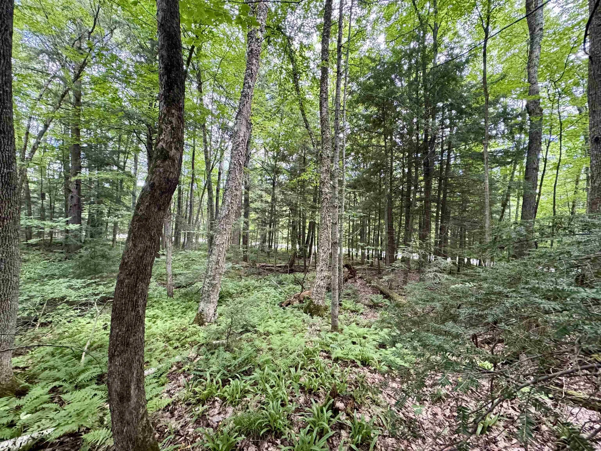 0 Tyler Farm Road Newbury VT 05051