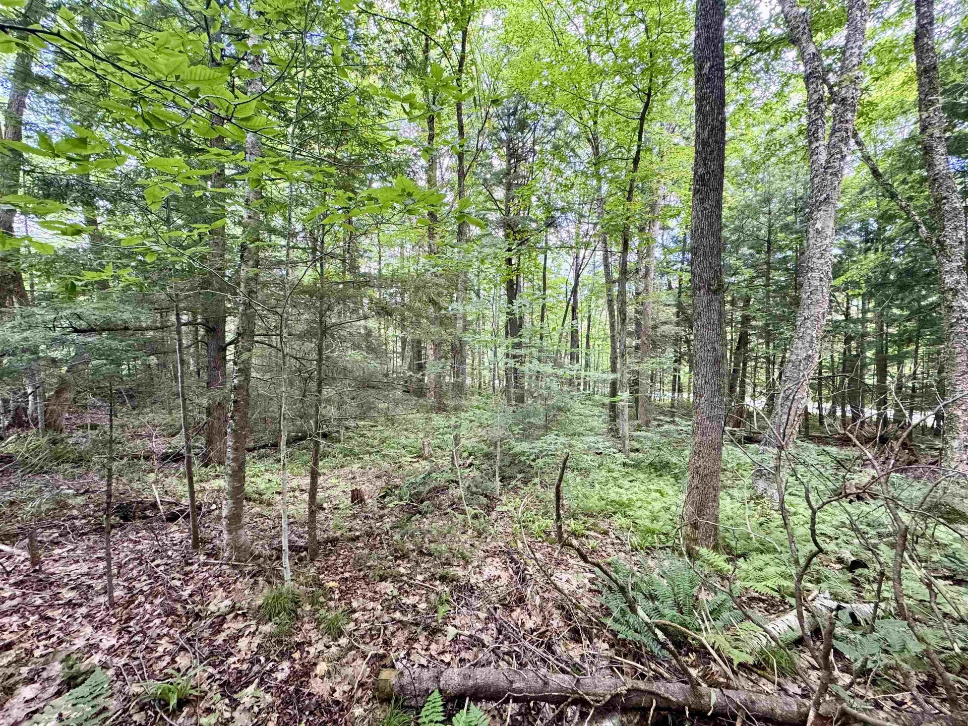 0 Tyler Farm Road Newbury VT 05051