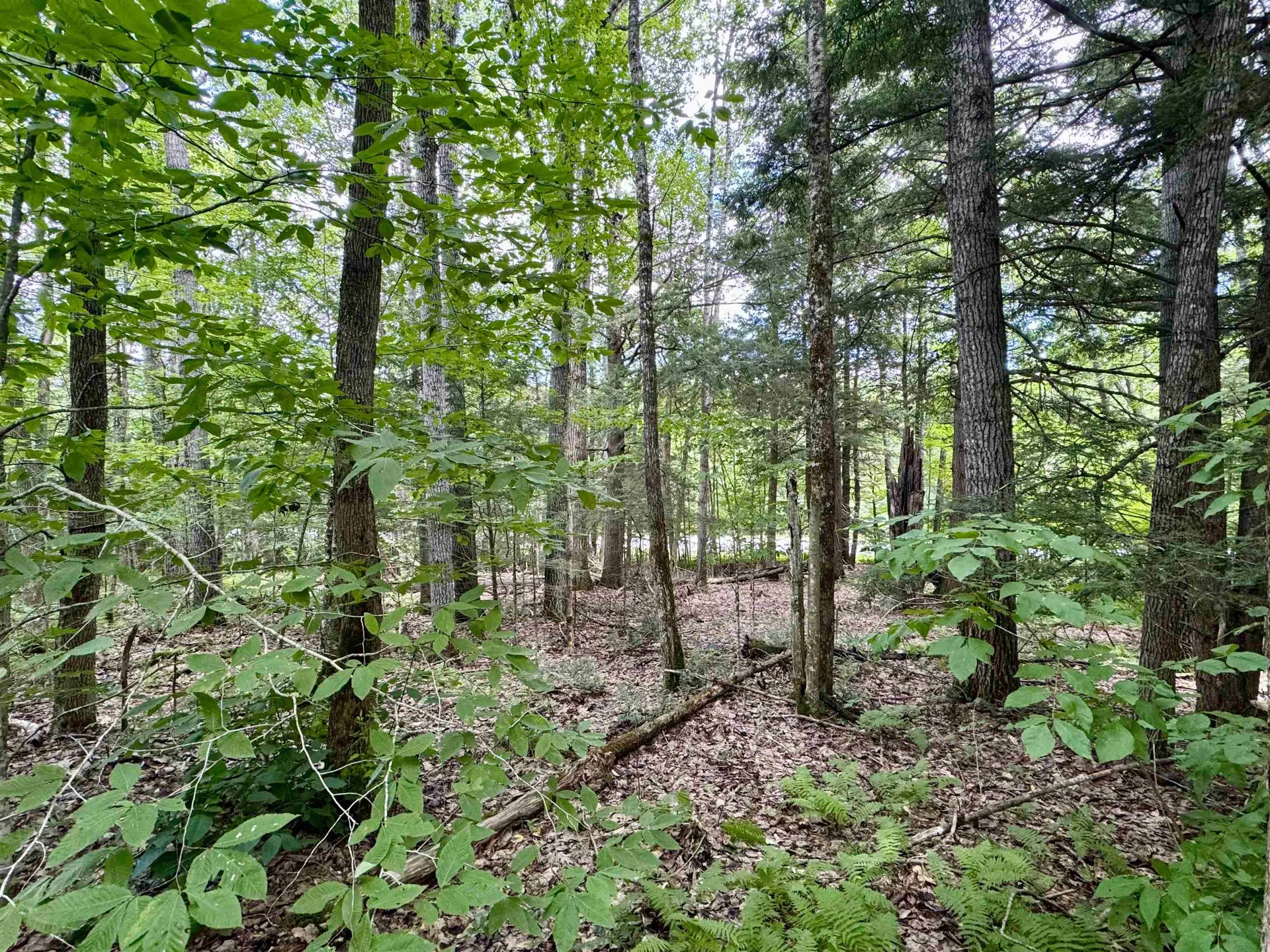 0 Tyler Farm Road Newbury VT 05051