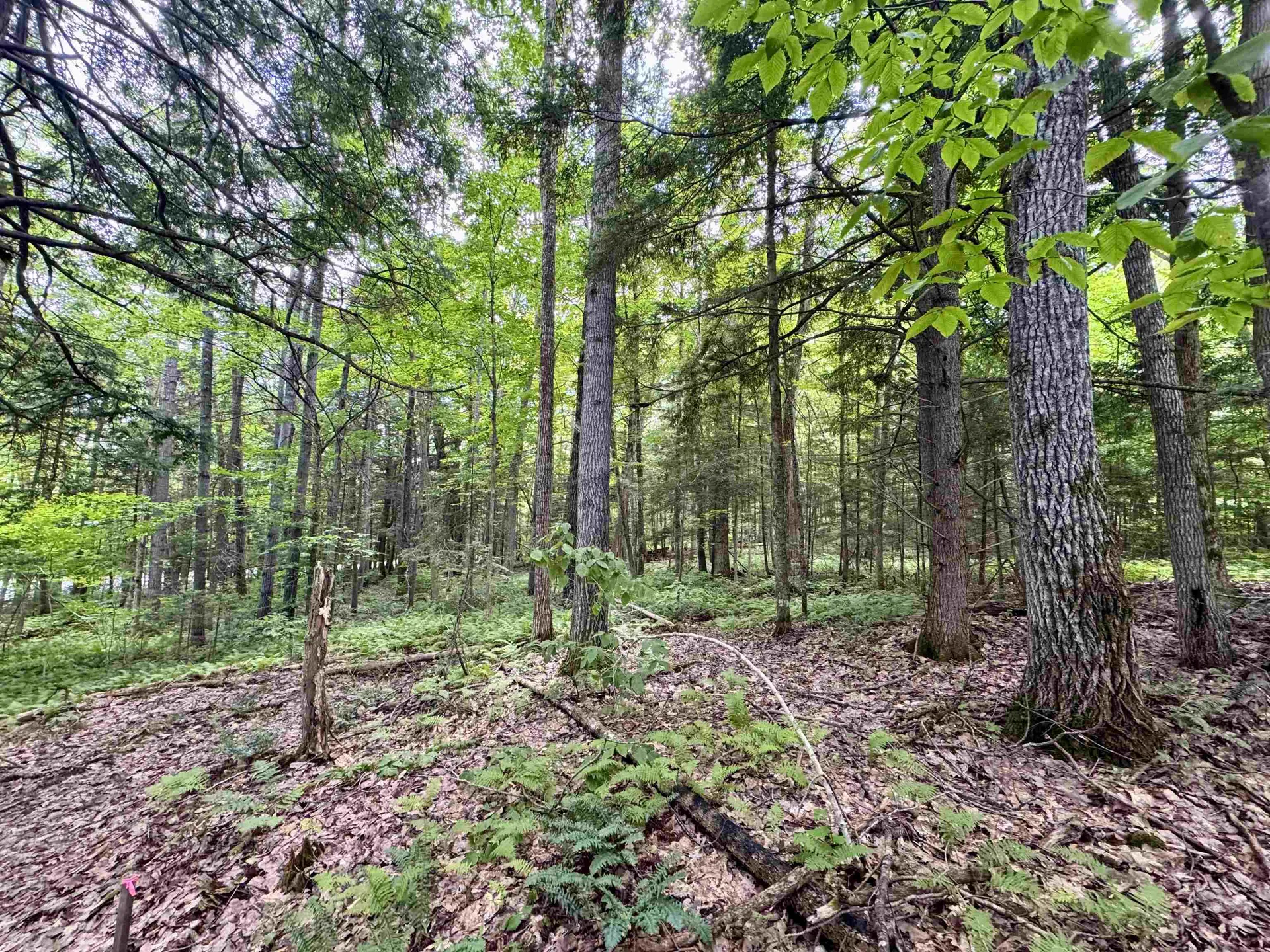 0 Tyler Farm Road Newbury VT 05051