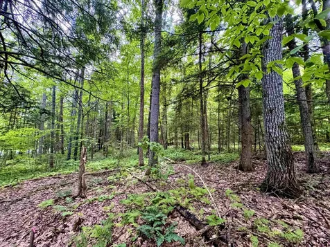 0 Tyler Farm Road Newbury VT 05051