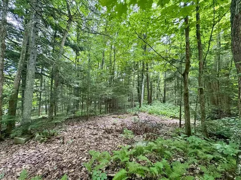 0 Tyler Farm Road Newbury VT 05051