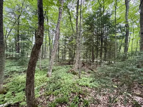 0 Tyler Farm Road Newbury VT 05051