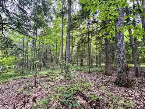 0 Tyler Farm Road Newbury VT 05051