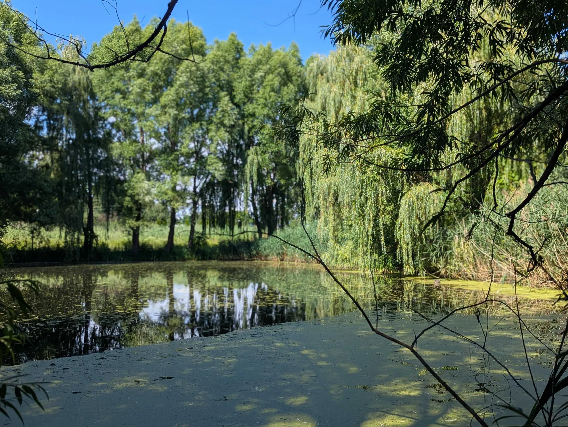 2 Andersen Lane Swanton VT 05488