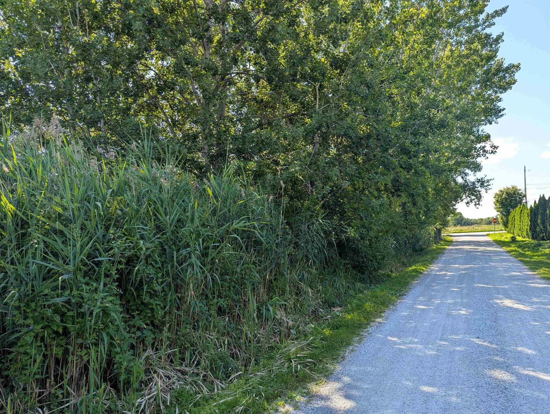 2 Andersen Lane Swanton VT 05488