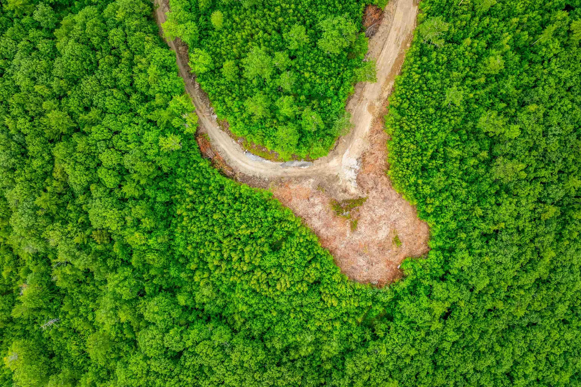 0 Long Stack Lane Alton NH 03809