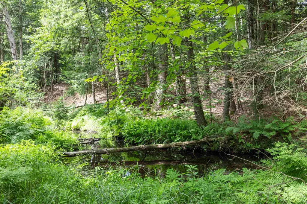 75 New Boston Road Greenfield NH 03047