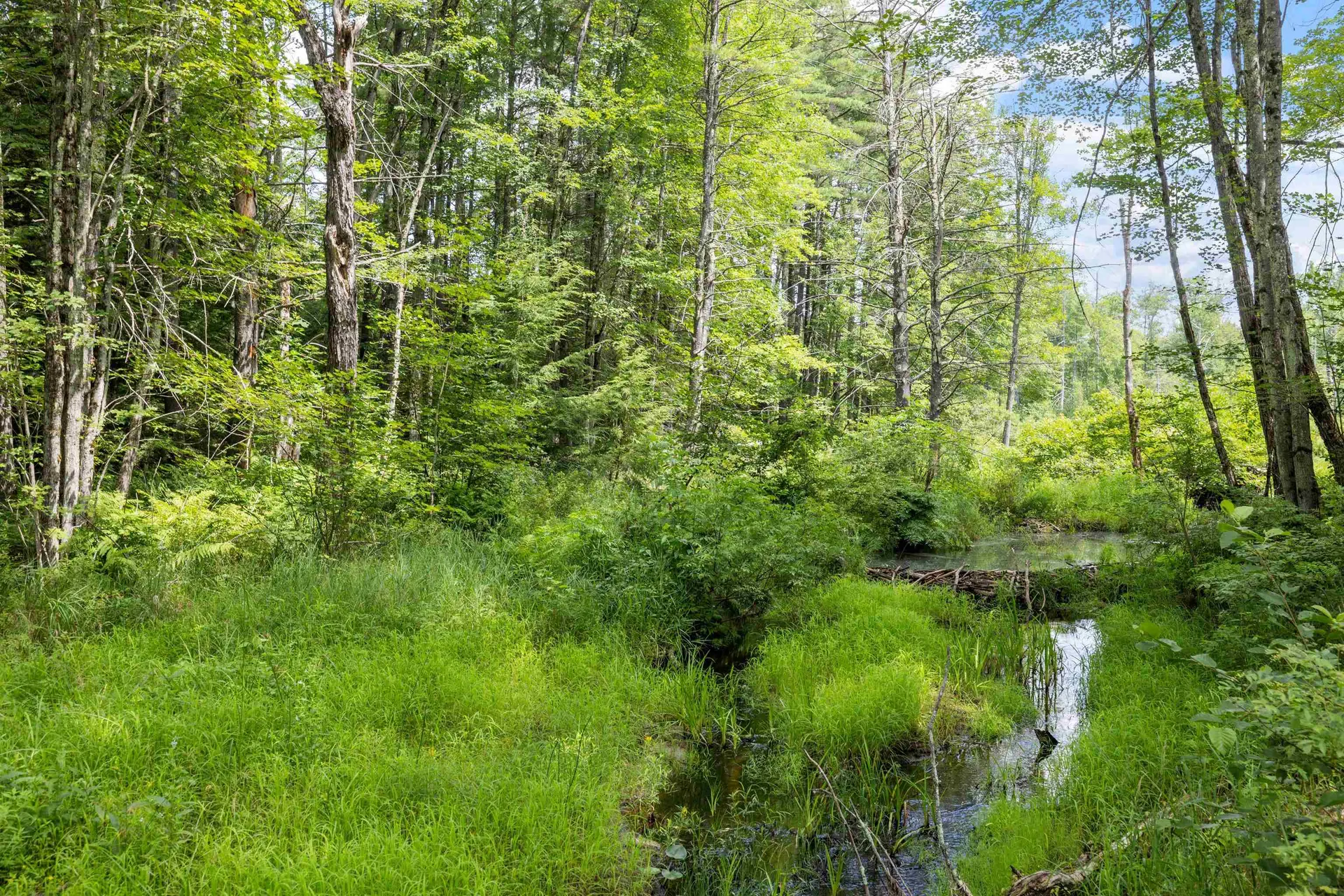 75 New Boston Road Greenfield NH 03047