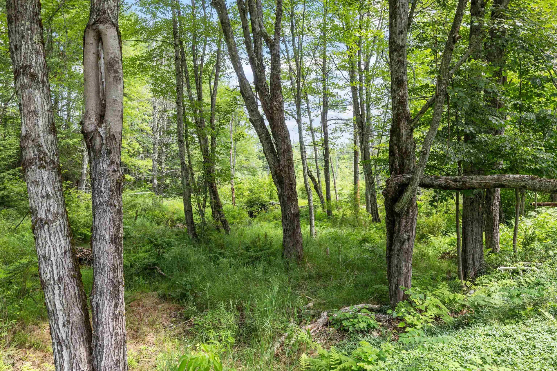 75 New Boston Road Greenfield NH 03047