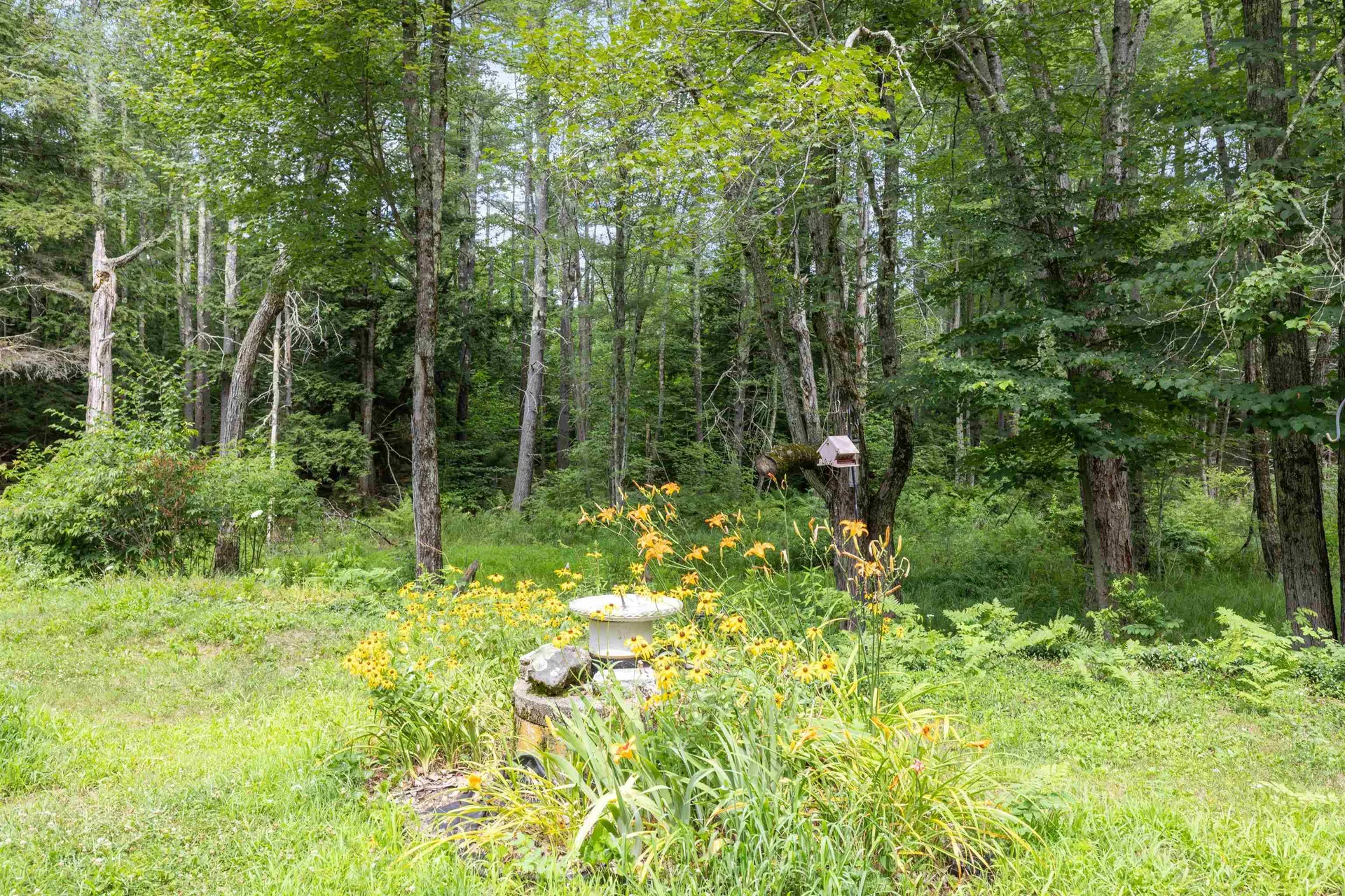 75 New Boston Road Greenfield NH 03047