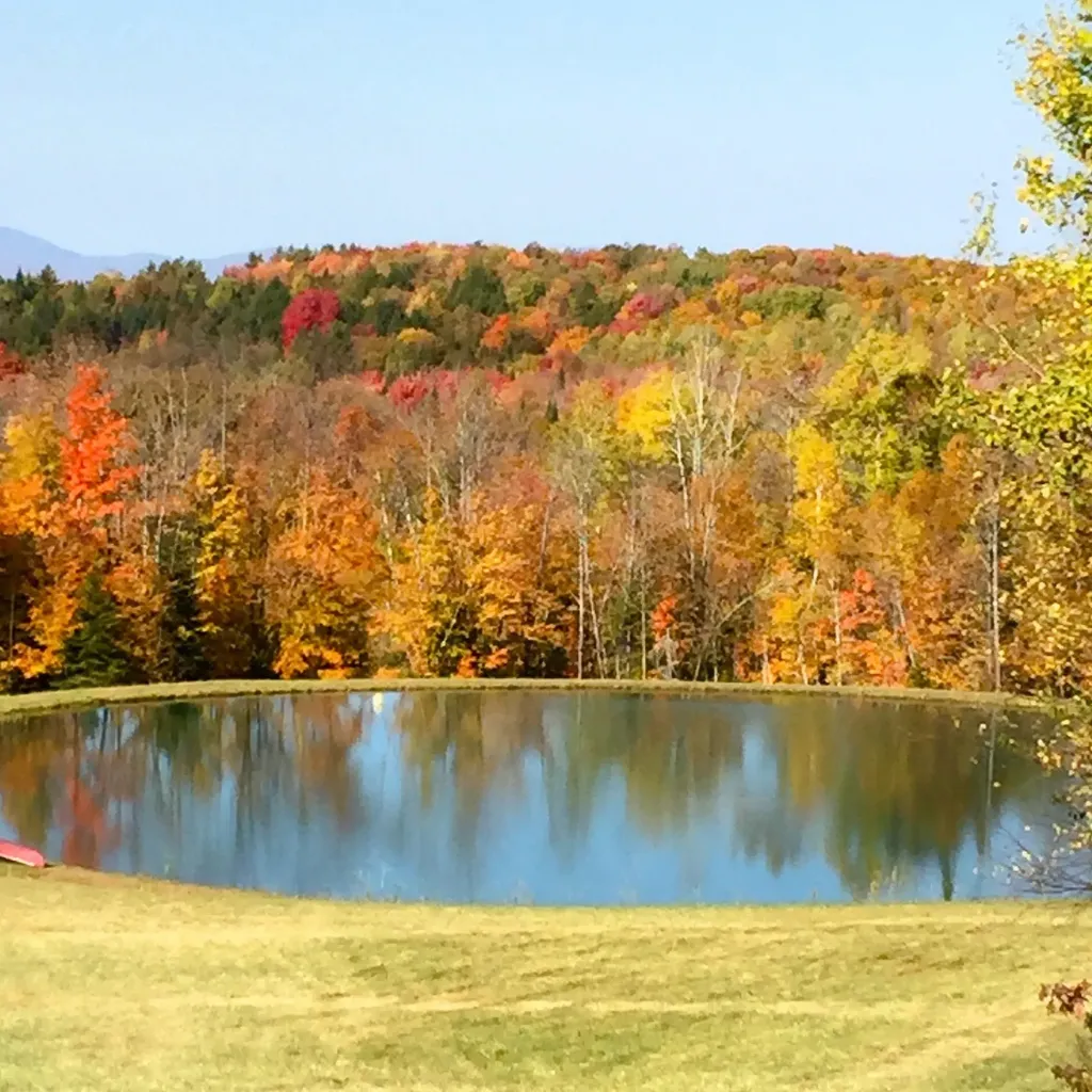 4088 Hinman Settler Road Derby VT 05829