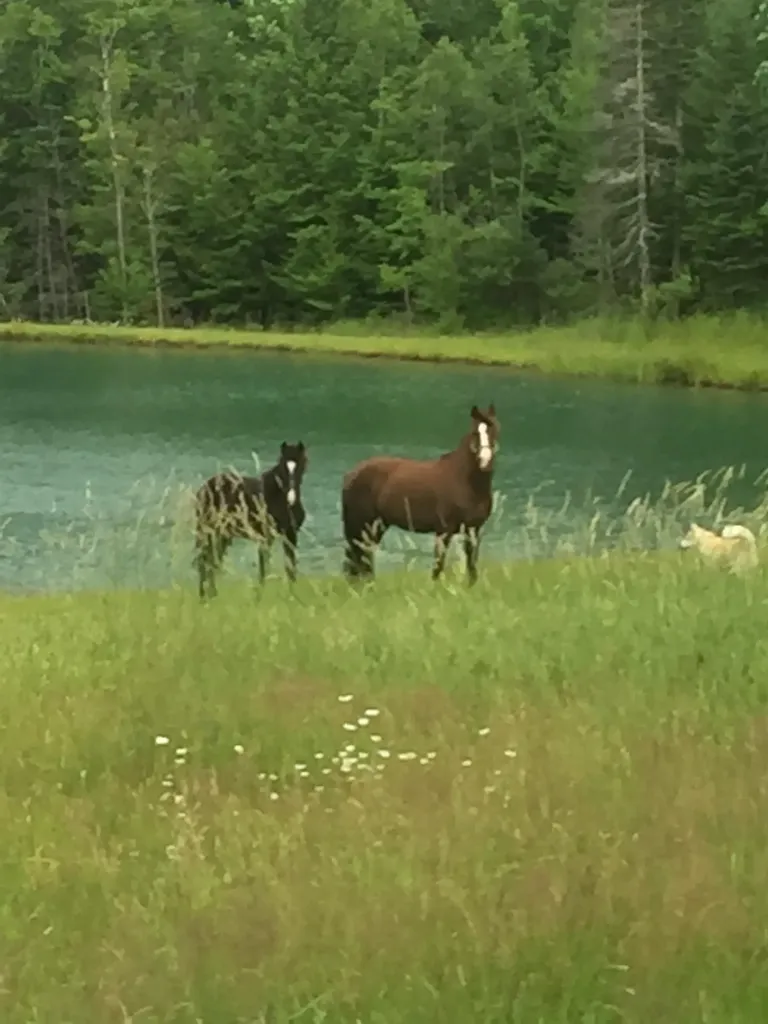 4088 Hinman Settler Road Derby VT 05829