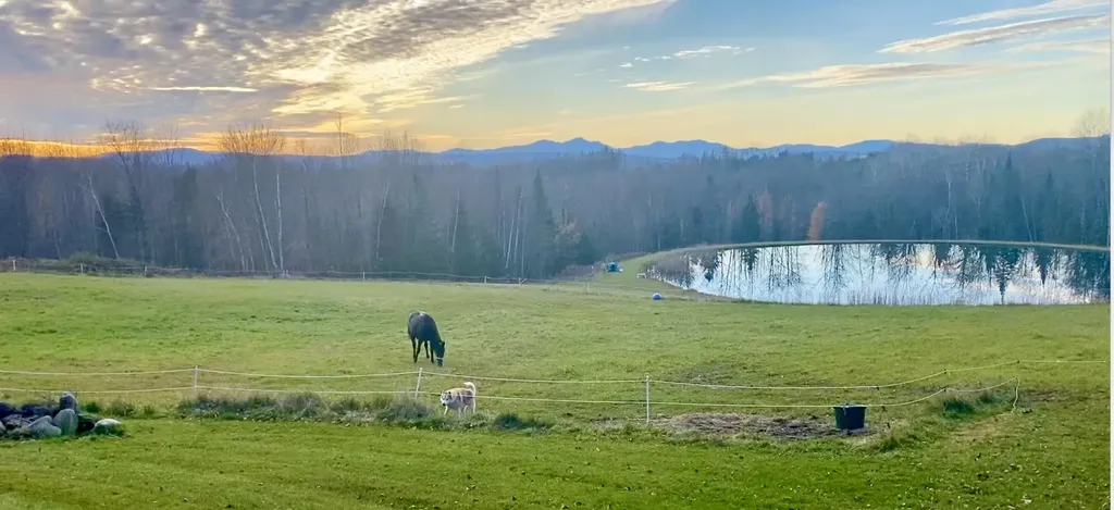 4088 Hinman Settler Road Derby VT 05829