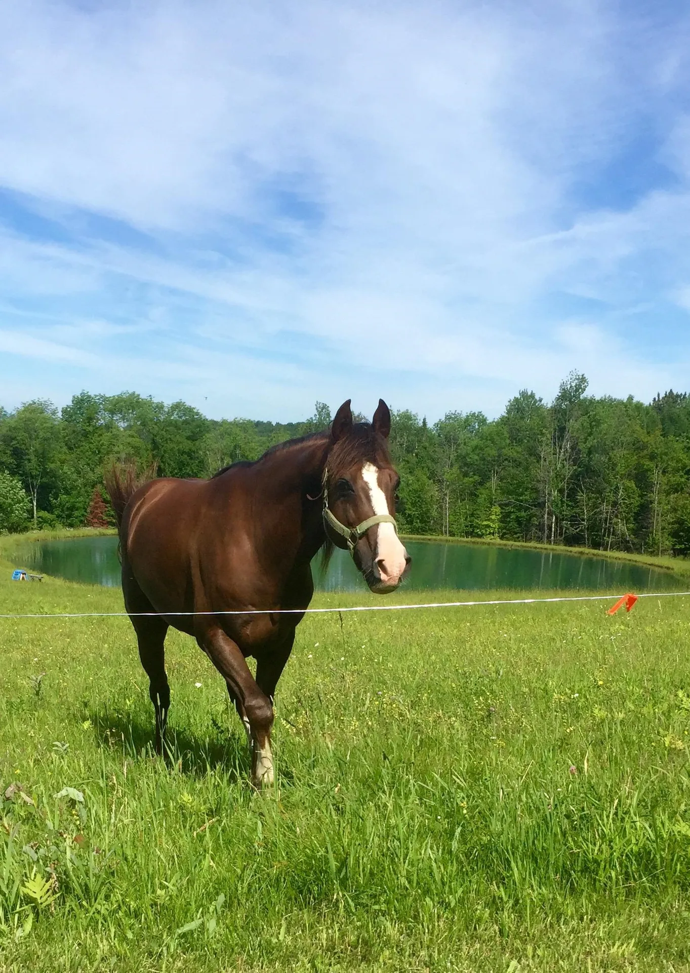 4088 Hinman Settler Road Derby VT 05829