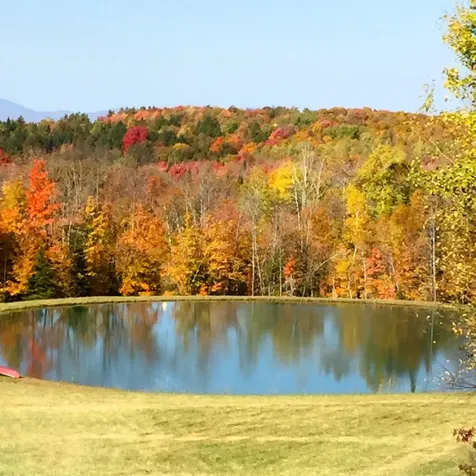 4088 Hinman Settler Road Derby VT 05829