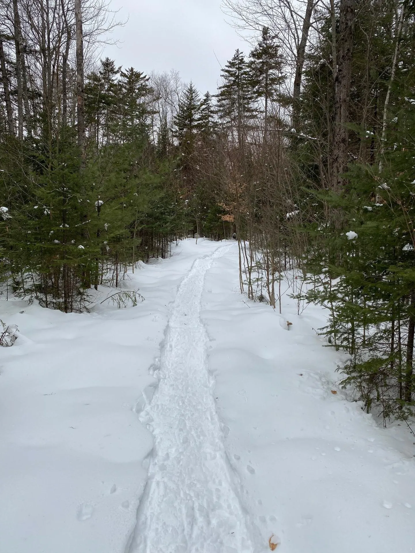 50 Old Dorchester Road Lyme NH 03768