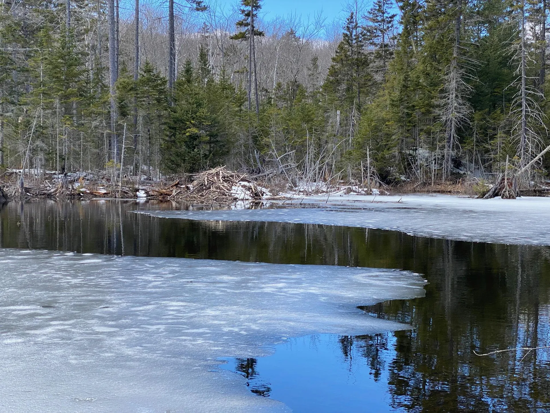 50 Old Dorchester Road Lyme NH 03768