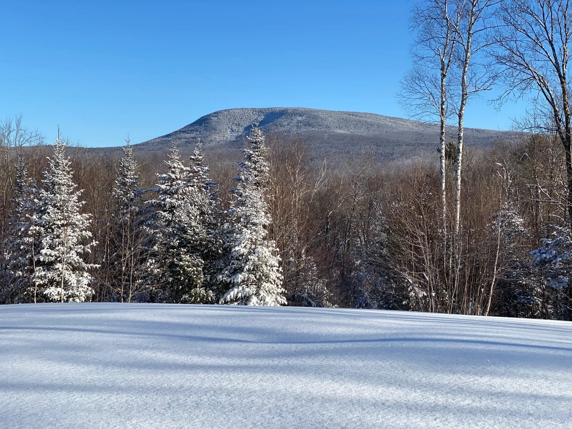 50 Old Dorchester Road Lyme NH 03768