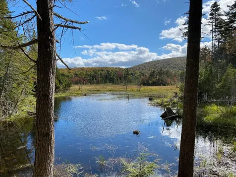 50 Old Dorchester Road Lyme NH 03768