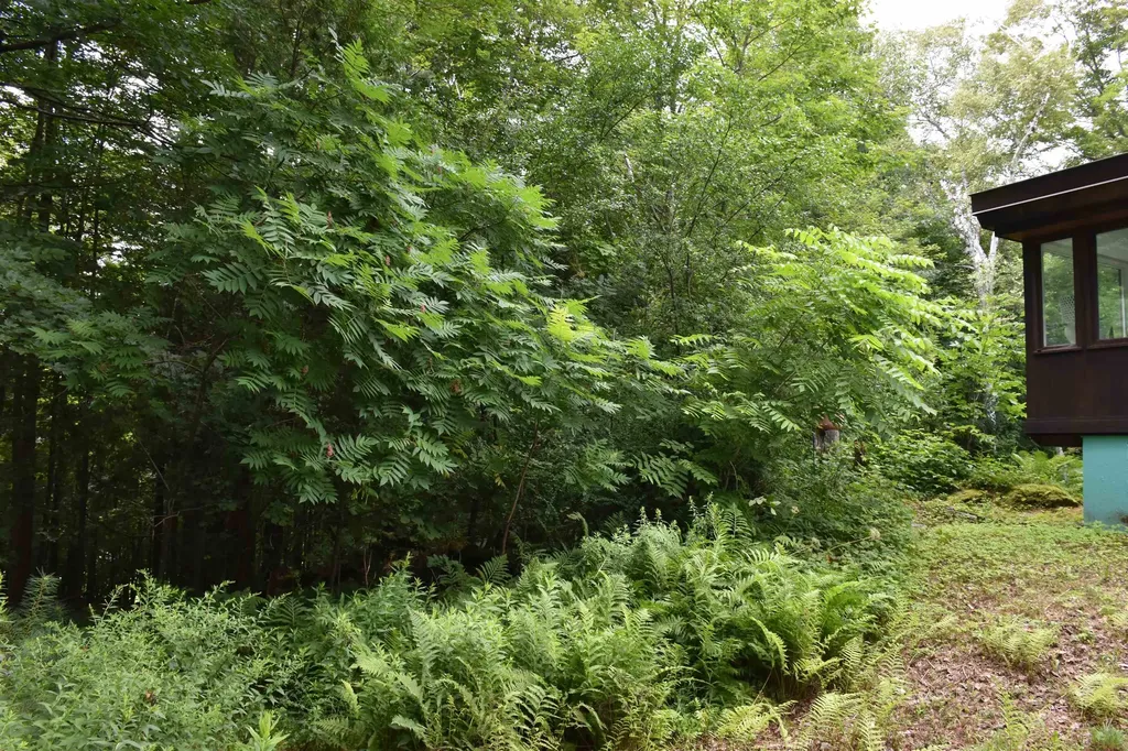 26 Woodland Drive Barre City VT 05641