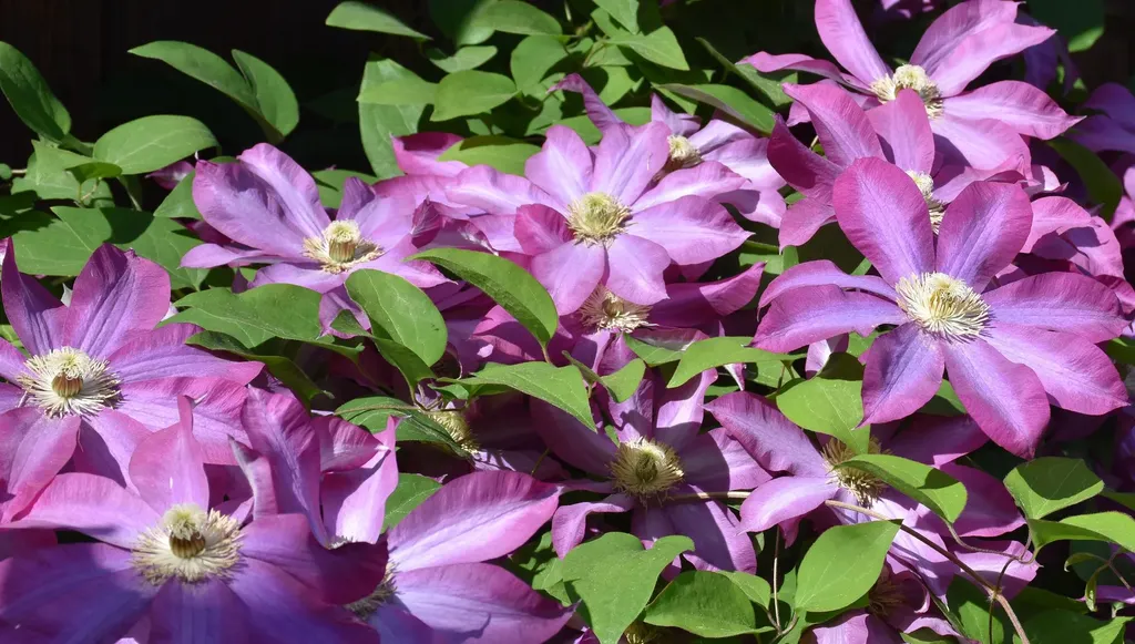 26 Woodland Drive Barre City VT 05641