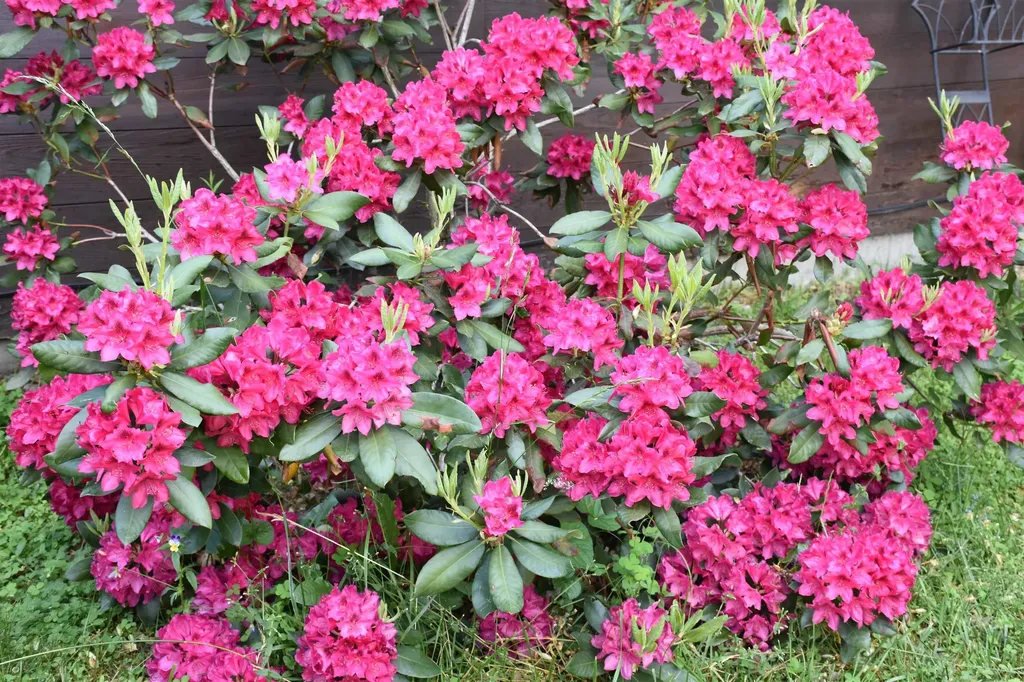 26 Woodland Drive Barre City VT 05641