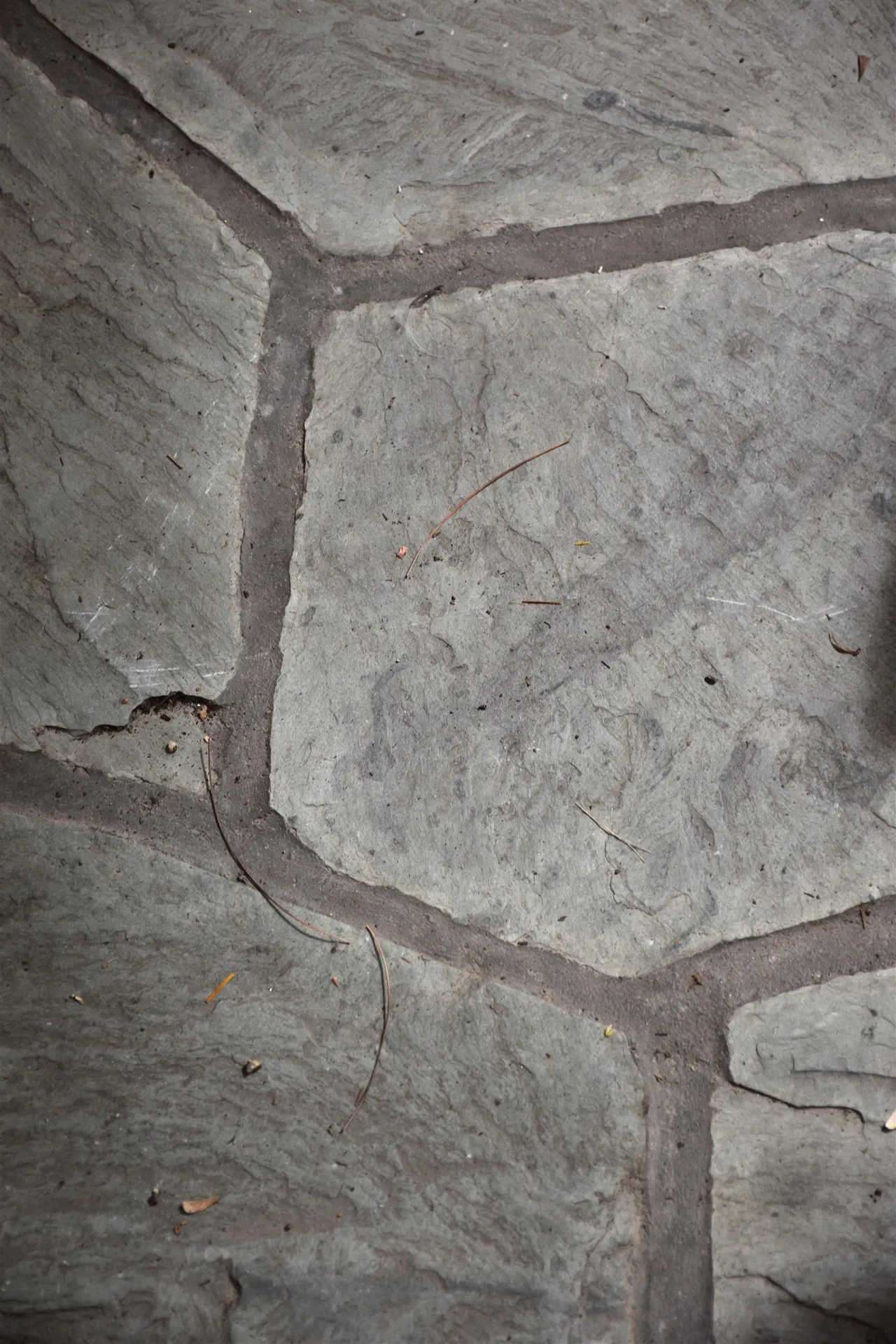 26 Woodland Drive Barre City VT 05641