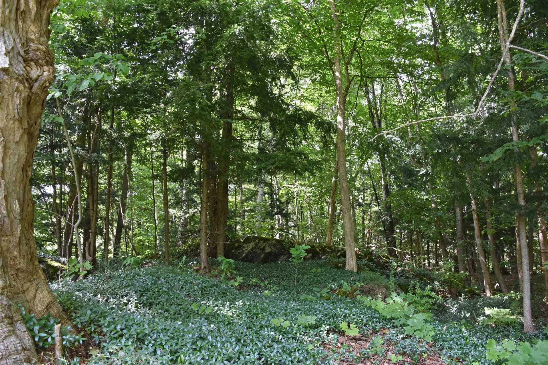 26 Woodland Drive Barre City VT 05641