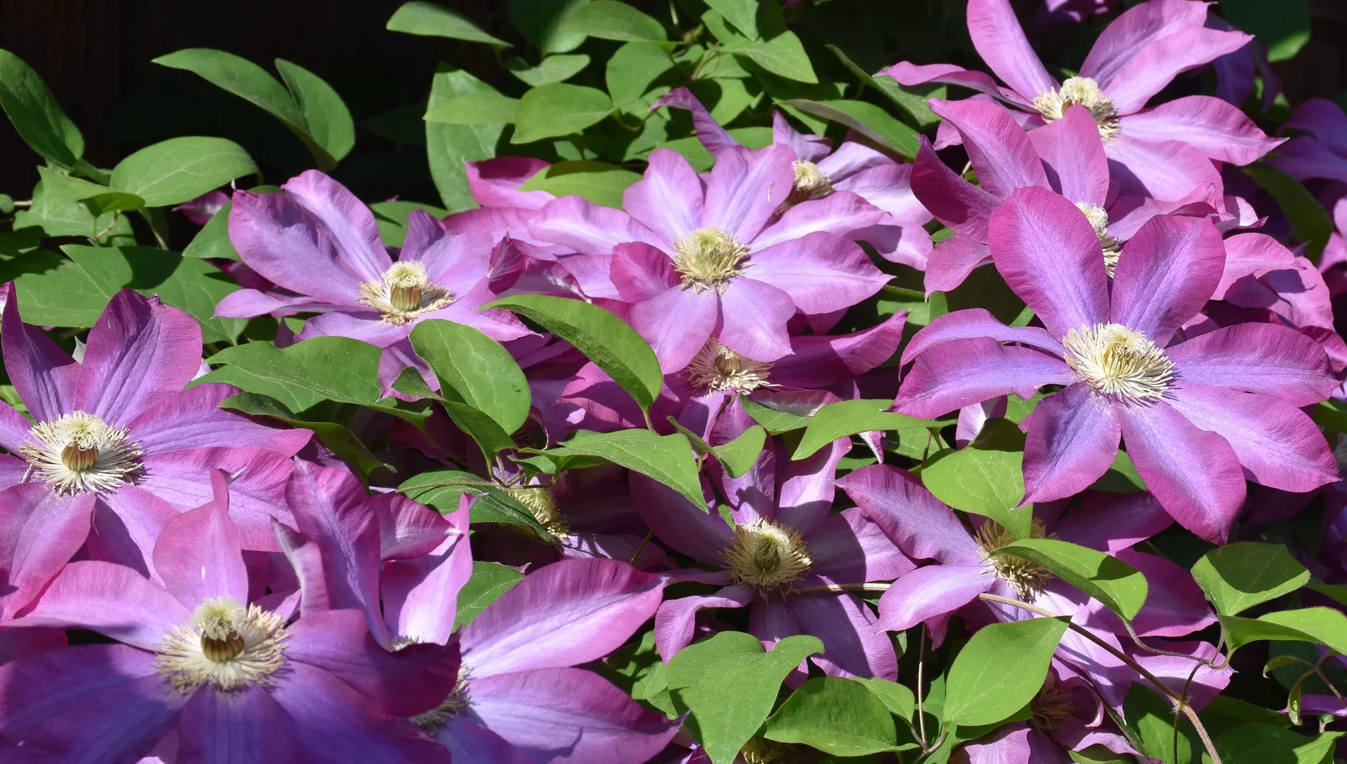 26 Woodland Drive Barre City VT 05641