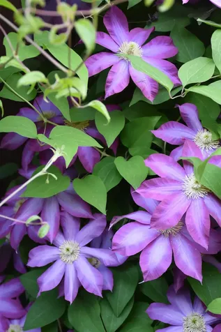 26 Woodland Drive Barre City VT 05641