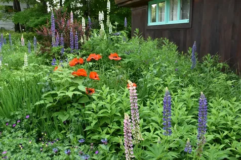 26 Woodland Drive Barre City VT 05641