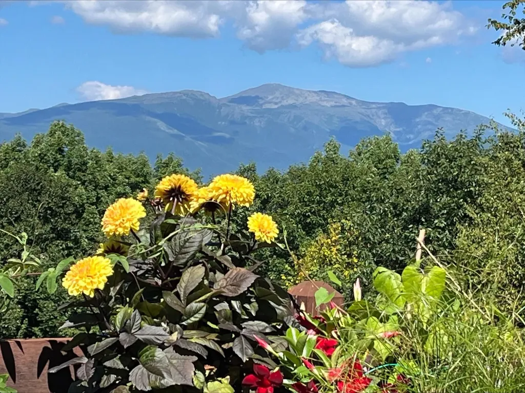 105 N Hampshire Ridge Road Jackson NH 03846