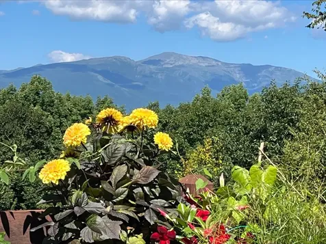 105 N Hampshire Ridge Road Jackson NH 03846