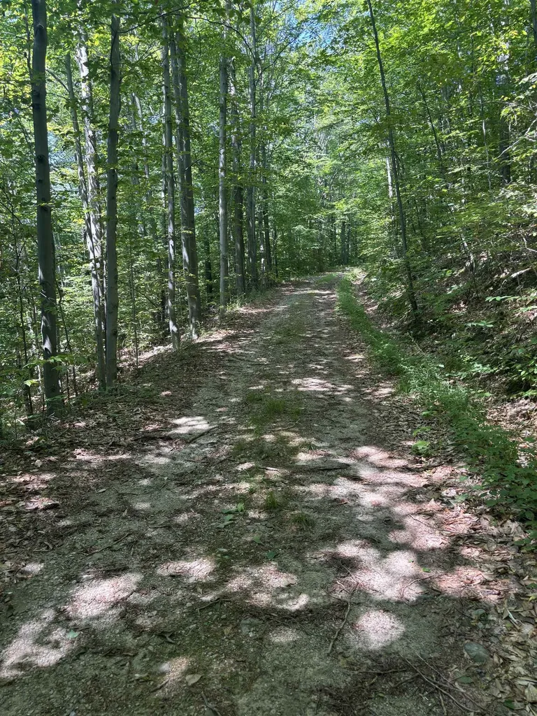 Upper Plains Road Middlebury VT 05753