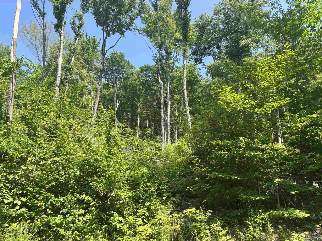 Upper Plains Road Middlebury VT 05753