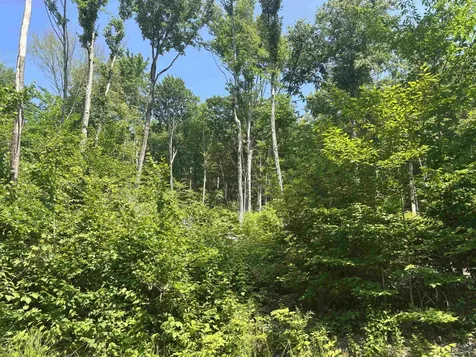 Upper Plains Road Middlebury VT 05753