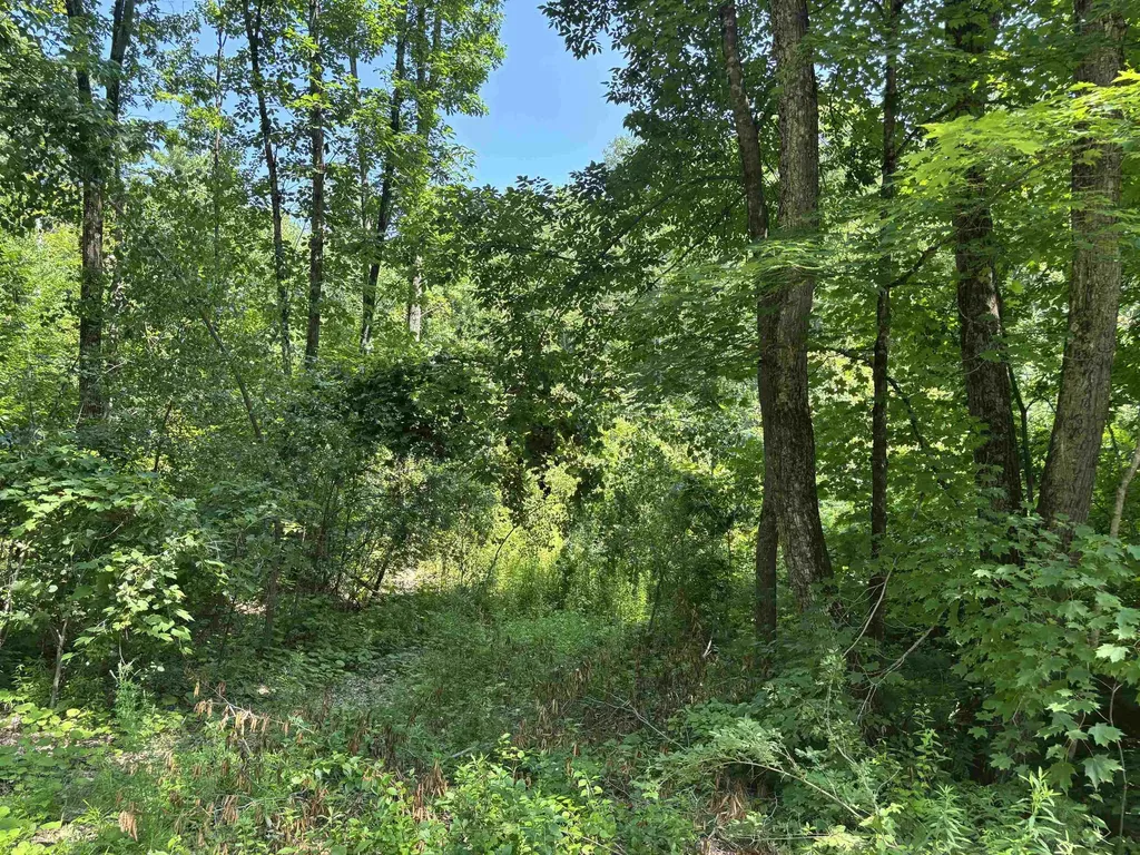 Upper Plains Road Salisbury VT 05769