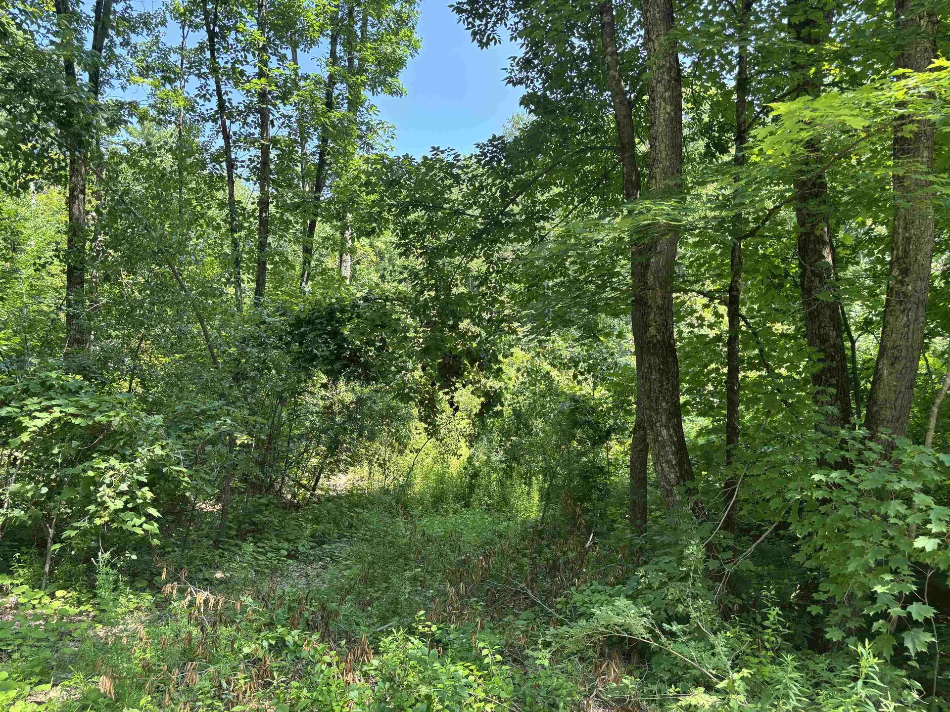 Upper Plains Road Salisbury VT 05769