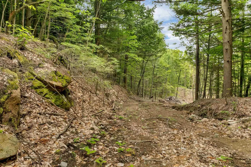 0 Interlaken Drive New Durham NH 03855