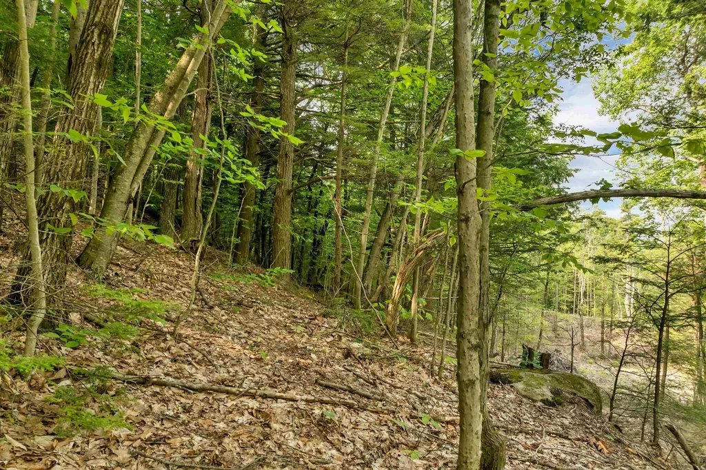 0 Interlaken Drive New Durham NH 03855